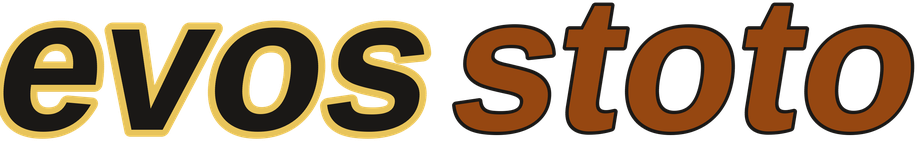 evosstoto logo